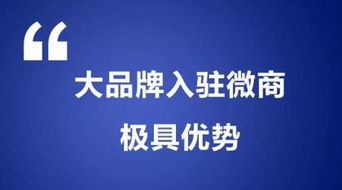 阿土伯網(wǎng)專業(yè)信息技術(shù)咨詢服務在長沙岳麓區(qū)熱賣促銷